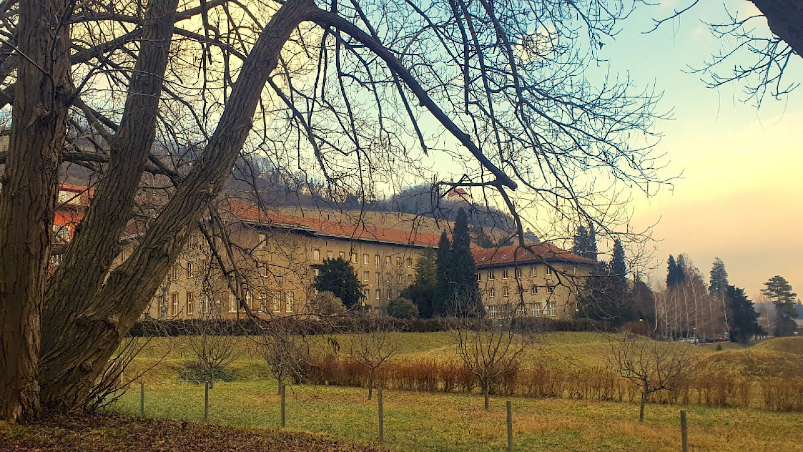 Delavnice na Biotehniški šoli Maribor
