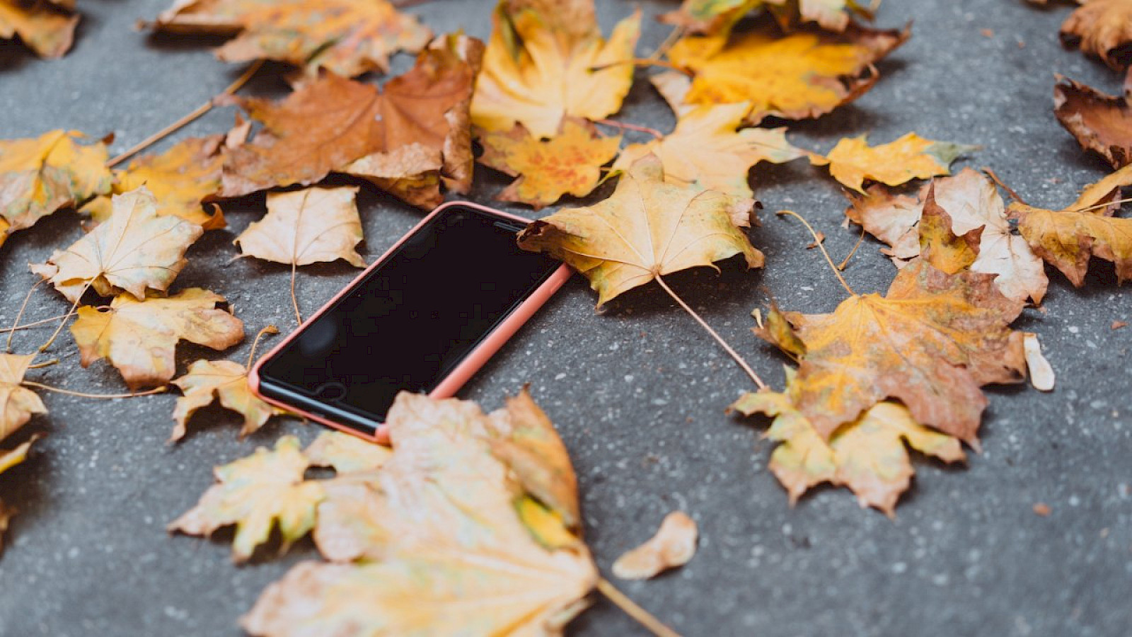 Jesenski digitalni detoks